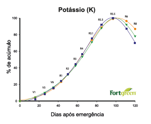 Os perigos da deficiência de potássio: sintomas e causas