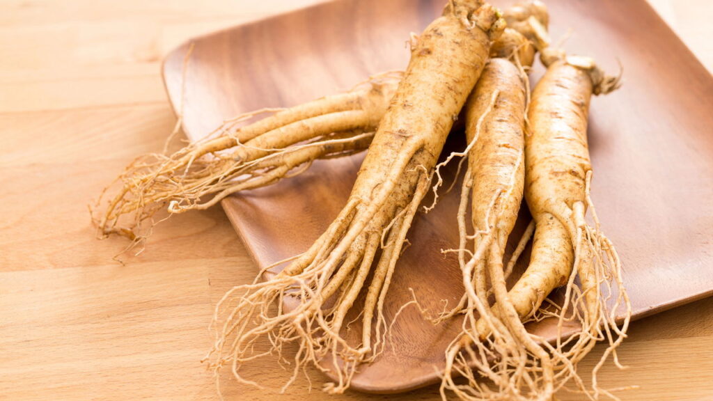 Como Conectar-se com a Natureza no Dia a Dia