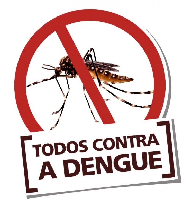 Guia completo de alimentos para combater a dengue