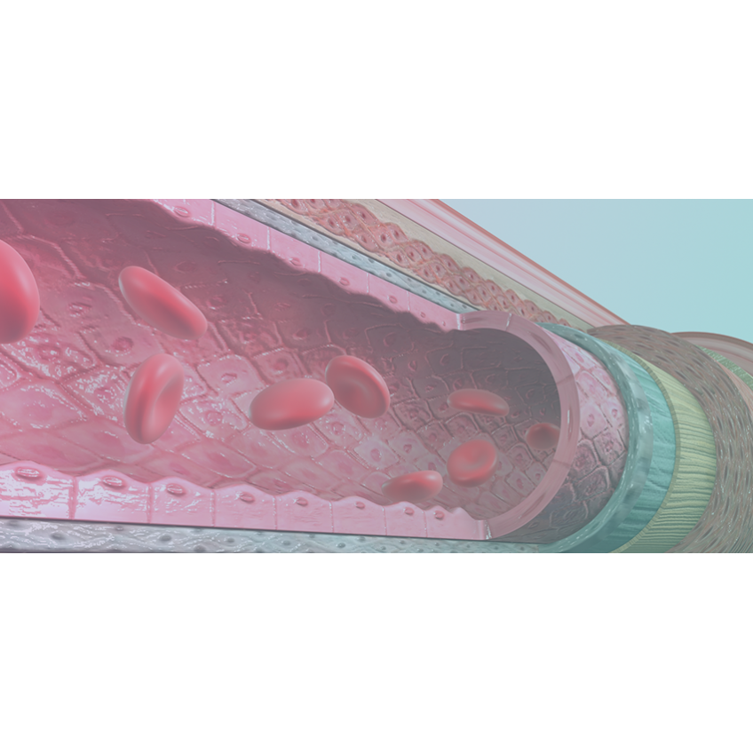 5 Receitas de Sucos Nutritivos para Pacientes em Quimioterapia