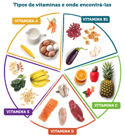 Guia Completo de Micronutrientes para Atletas