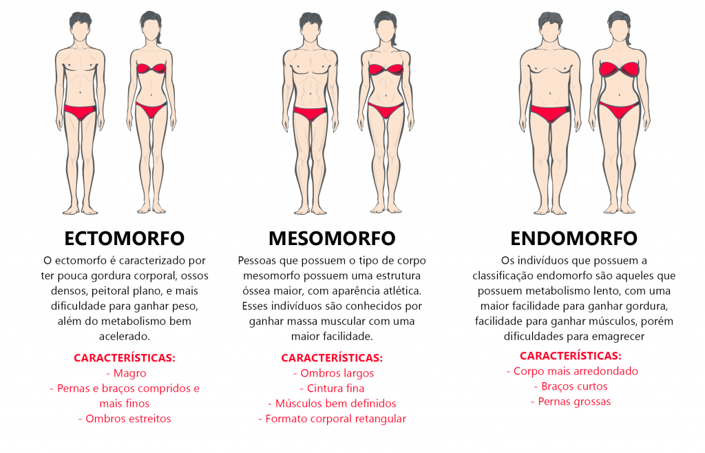 Guia completo de dieta para endomorfos
