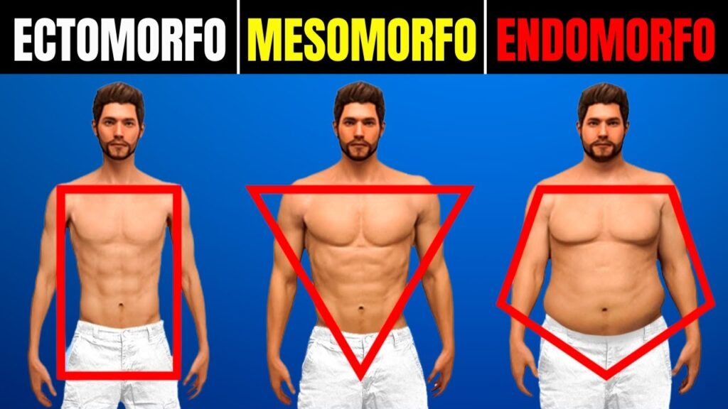 Exercícios Compostos vs. Isolados para Mesomorfos