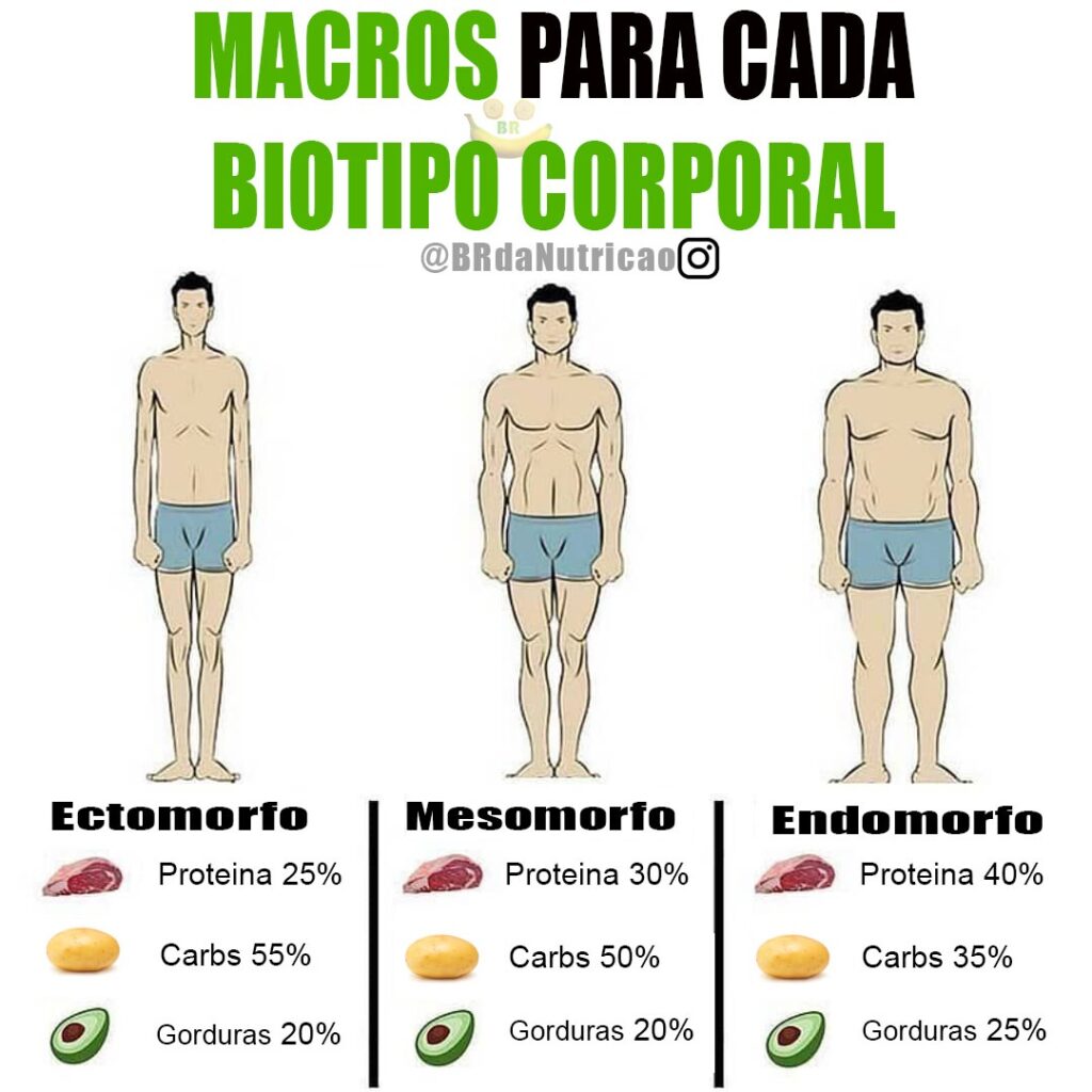 Como aumentar a massa muscular em mesomorfos endomorfos