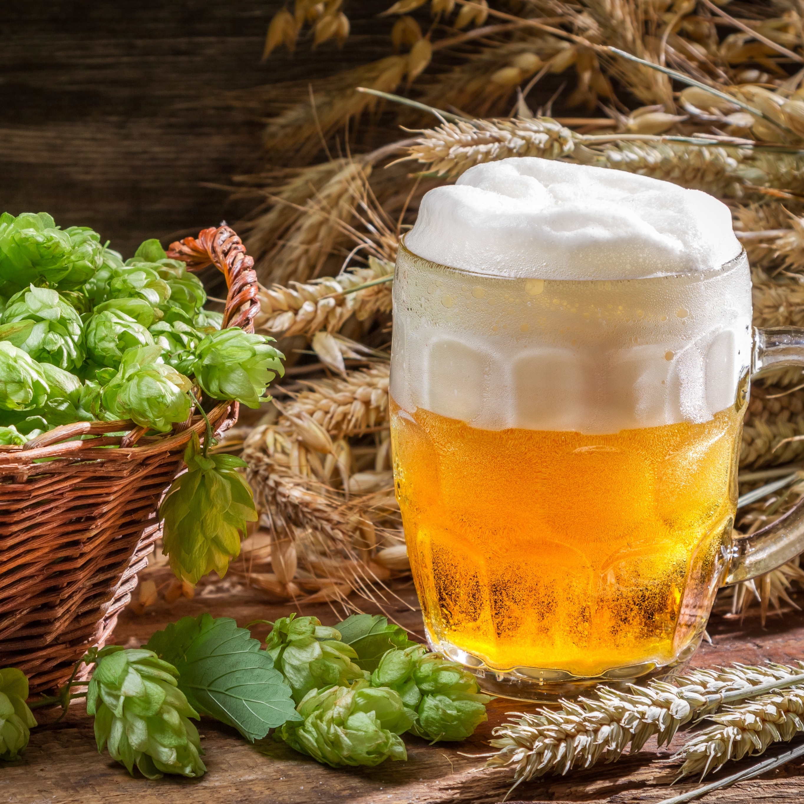 Cerveja vs. Camomila: Qual Clareia Mais o Cabelo?