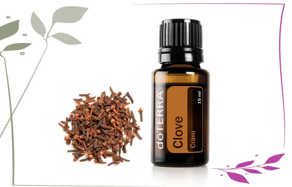 Como clarear os dentes com óleo de cravo