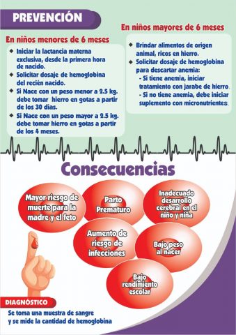 Anemia em Vegetarianos e Veganos: Dicas Essenciais