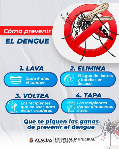Como evitar a dengue