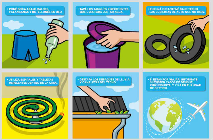 Como proteger sua família das picadas do mosquito da dengue