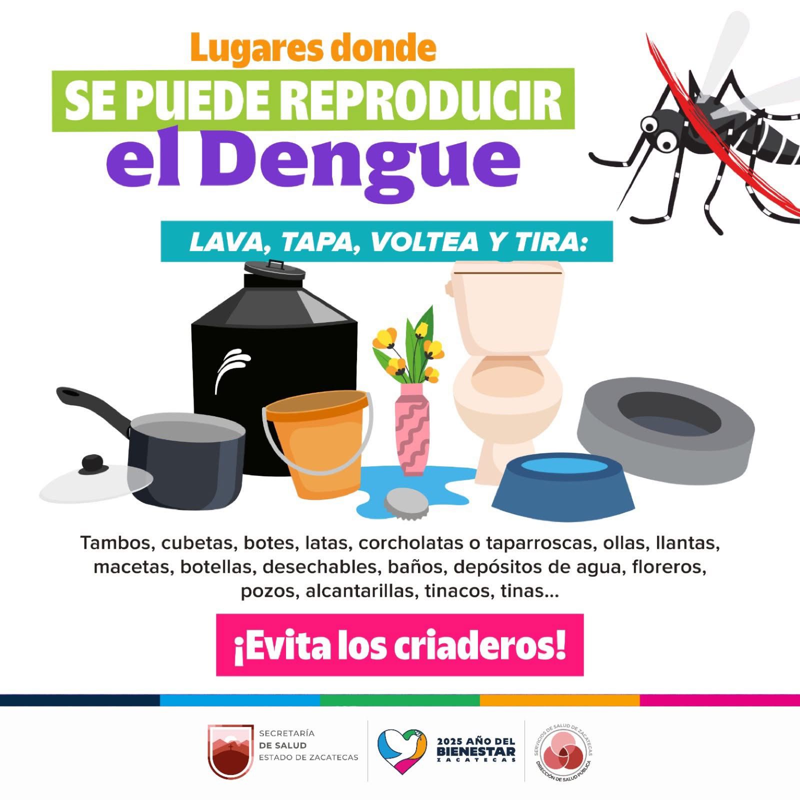 A importância da vacinação contra a dengue