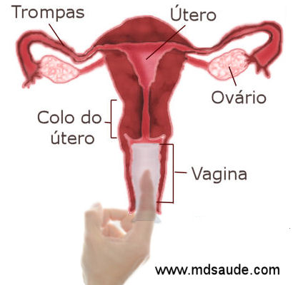 Como Escolher o Lubrificante Ideal para Sua Saúde Sexual