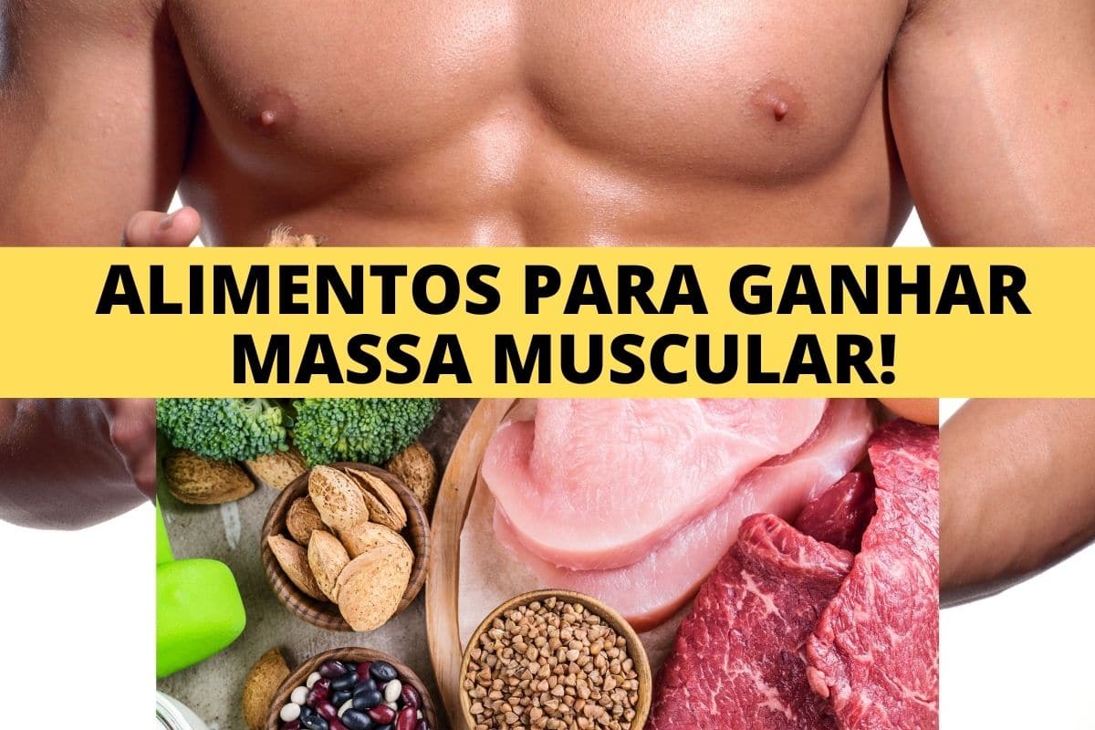 A Importância do Sono para a Recuperação Muscular