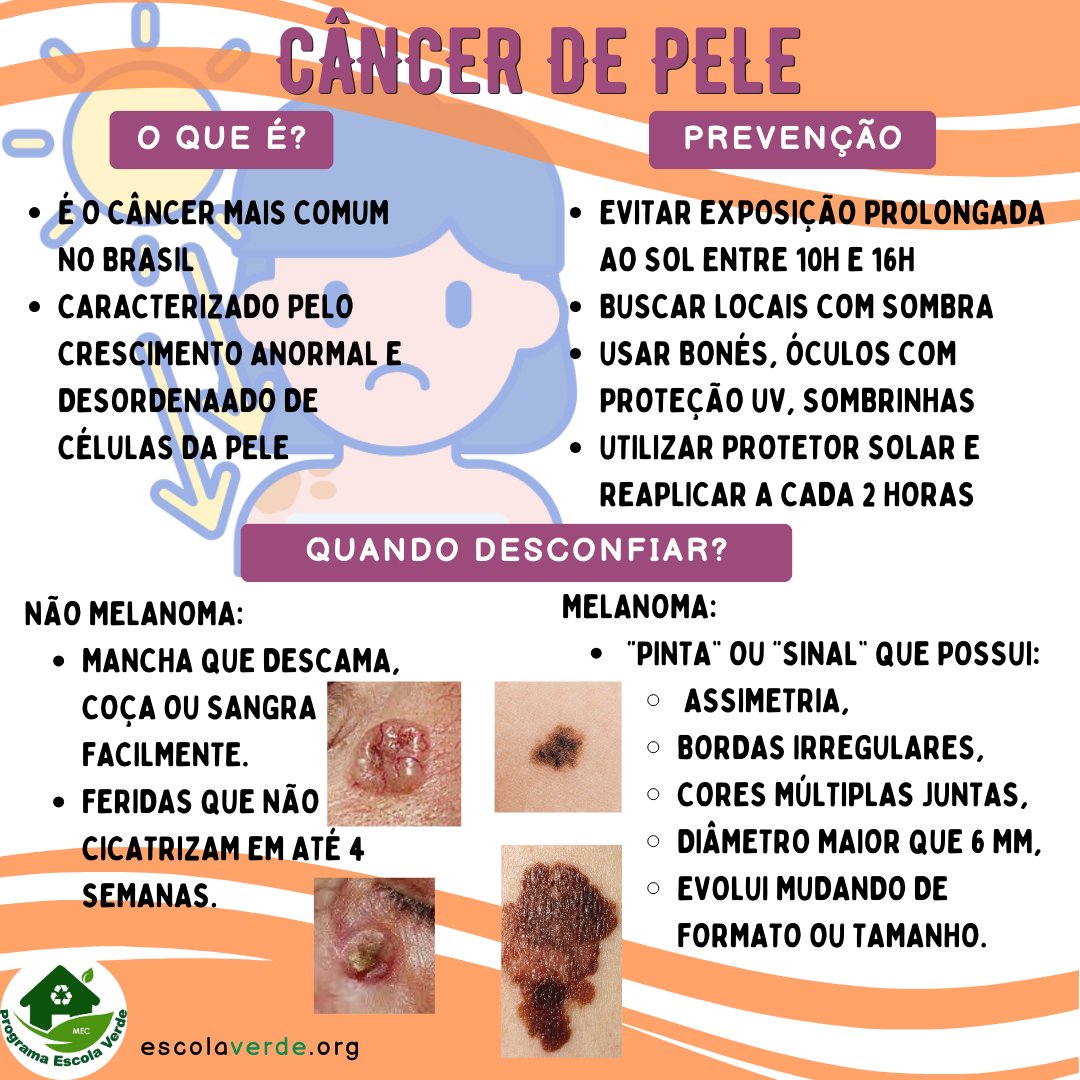 Os 5 alimentos que mais protegem sua pele do sol