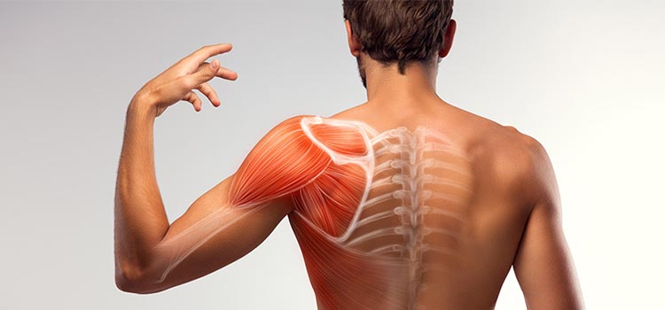 Alimentação anti-inflamatória para recuperação