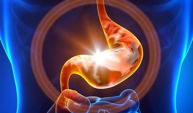 Hortelã e Boldo para a Saúde Digestiva