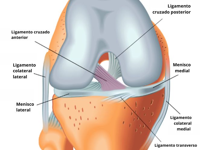 Como tratar a dor no joelho por lesão no ligamento cruzado anterior