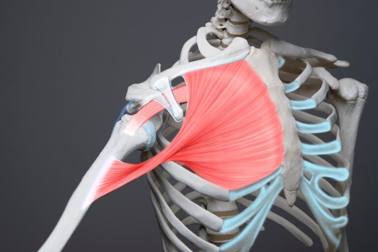 A Importância da Fisioterapia na Recuperação do Manguito Rotador