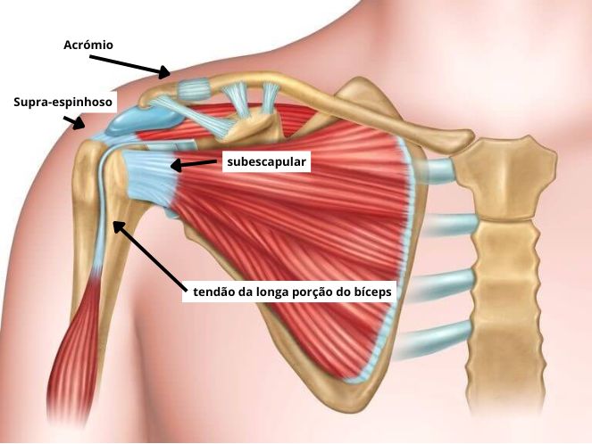 Remédios Caseiros Eficazes para Dor Muscular no Pescoço