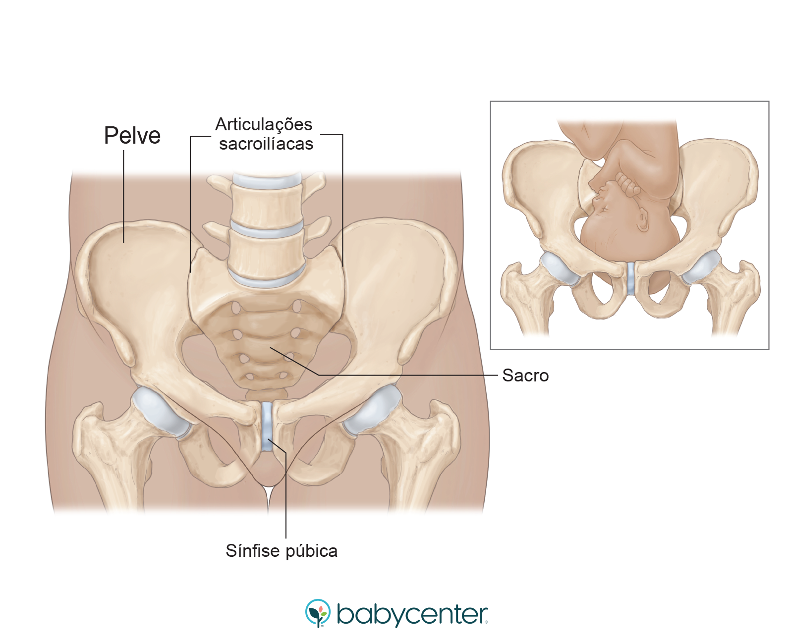 5 Melhores Posições para Dormir na Gravidez com Dor no Quadril