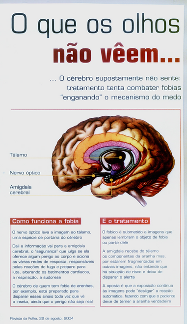 Como a TCC Ajuda a Superar Medos Irracionais
