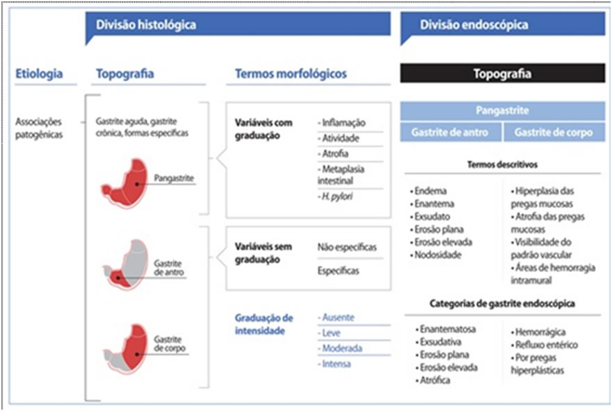Como a Bactéria H. pylori Causa Gastrite Atrófica?