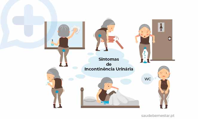 Mitos e Verdades sobre a Incontinência Urinária