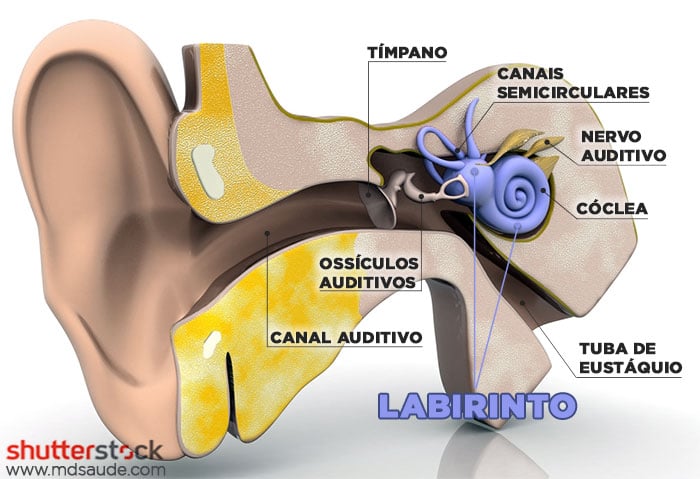 Como tratar a labirintite por colesterol