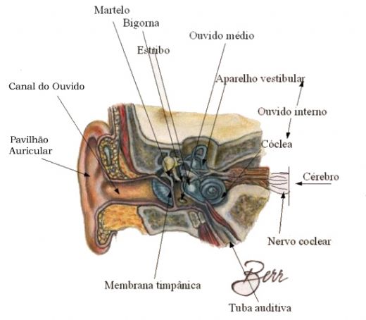 Como a Fisioterapia Pode Resolver sua Vertigem Cervicogênica