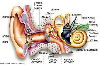 Sinais de Alerta: Quando Procurar um Otorrinolaringologista para Labirintite