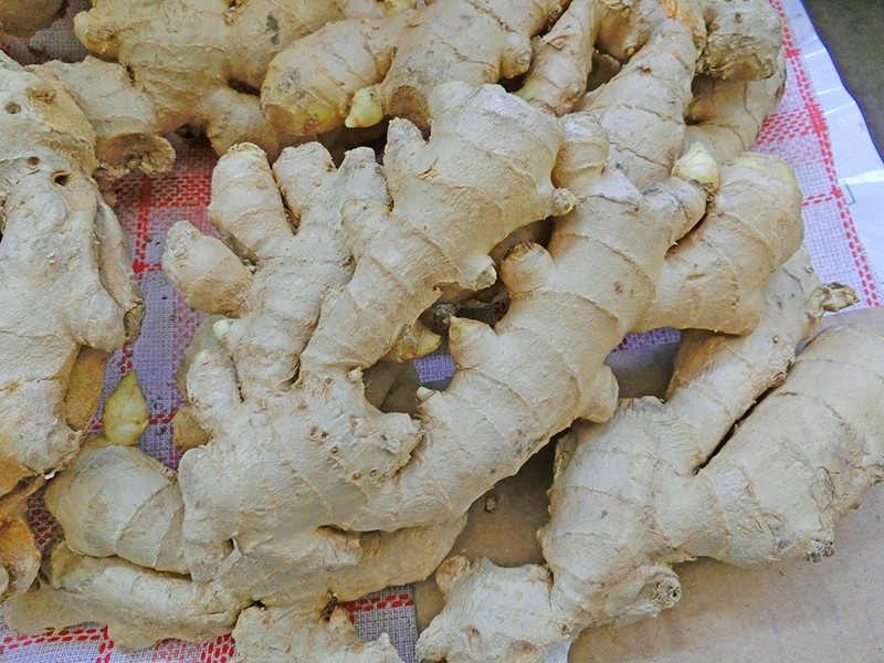 5 receitas de chás para aliviar a tosse