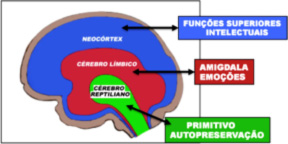 Guia completo de Terapia Cognitivo-Comportamental Focada no Trauma (TF-CBT)