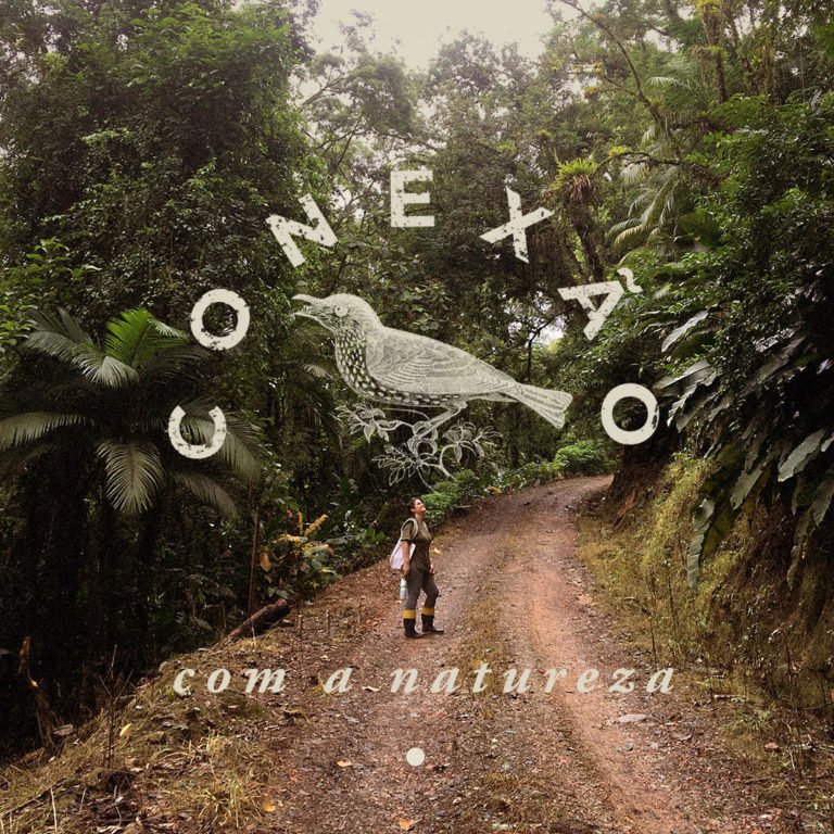 conexão com a natureza