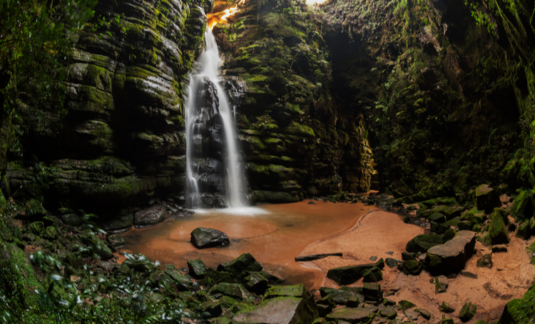 Atividades em Família para Promover a Conexão com a Natureza nas Crianças