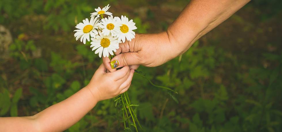 exemplos de cordialidade no dia a dia