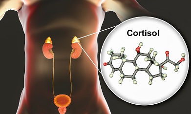 Entenda a Relação entre Sono e Cortisol: Dicas para Dormir Melhor