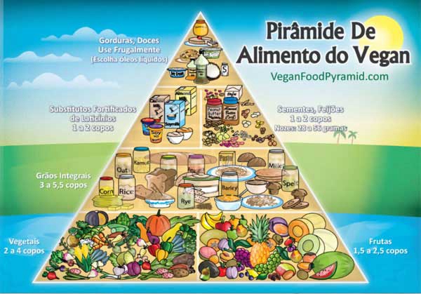 Receitas vegetarianas fáceis para iniciantes