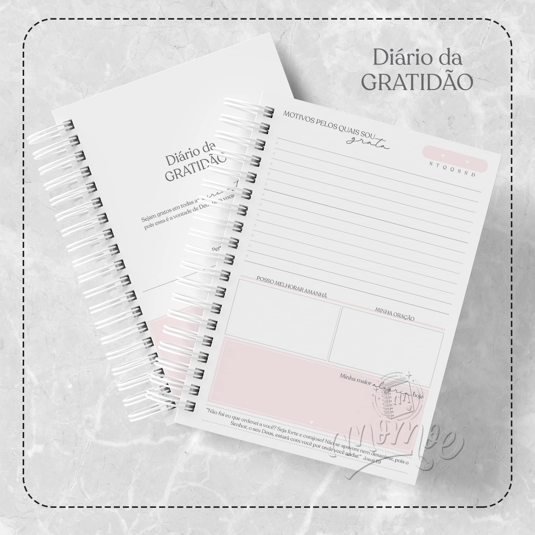 A ciência por trás do poder da gratidão