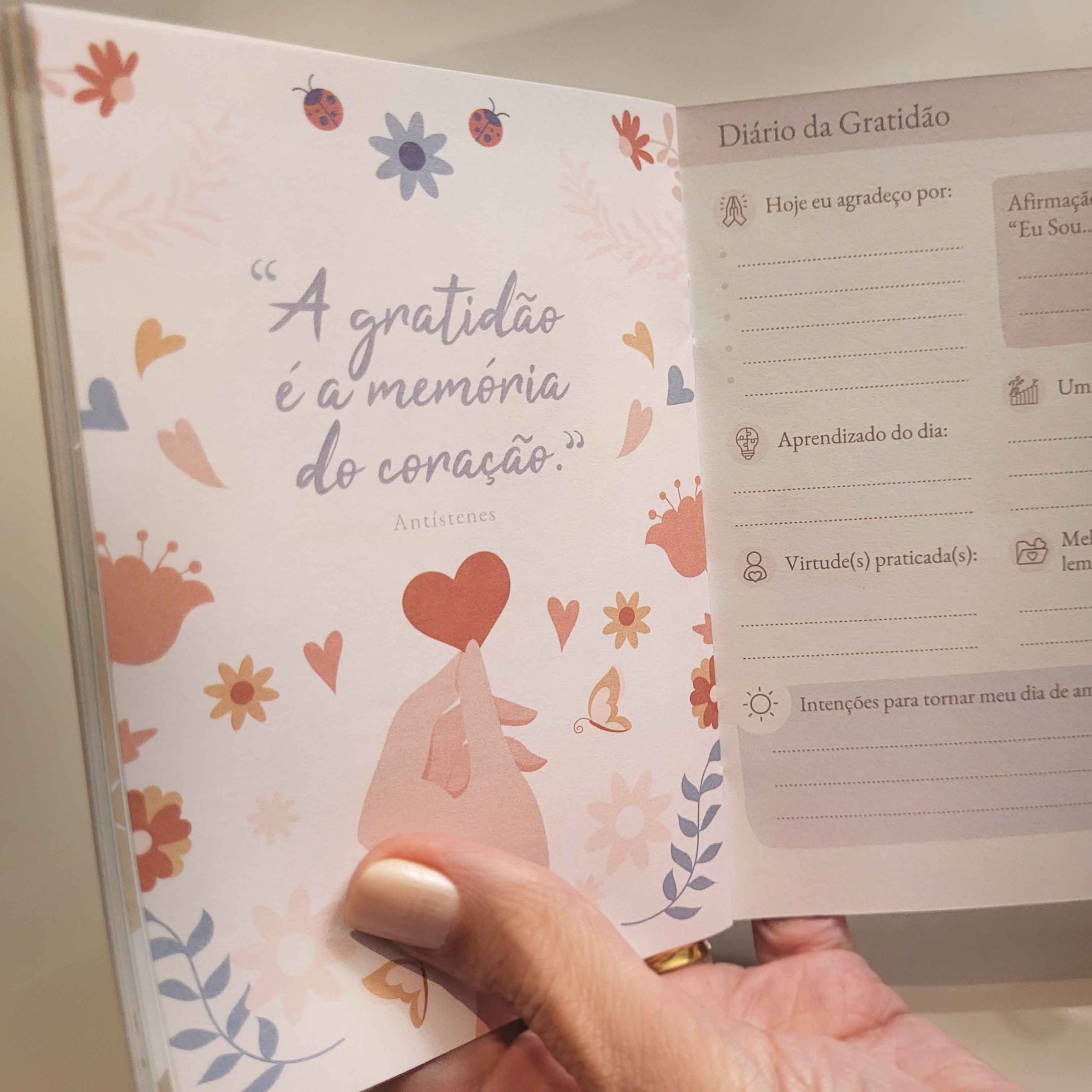 diário de gratidão