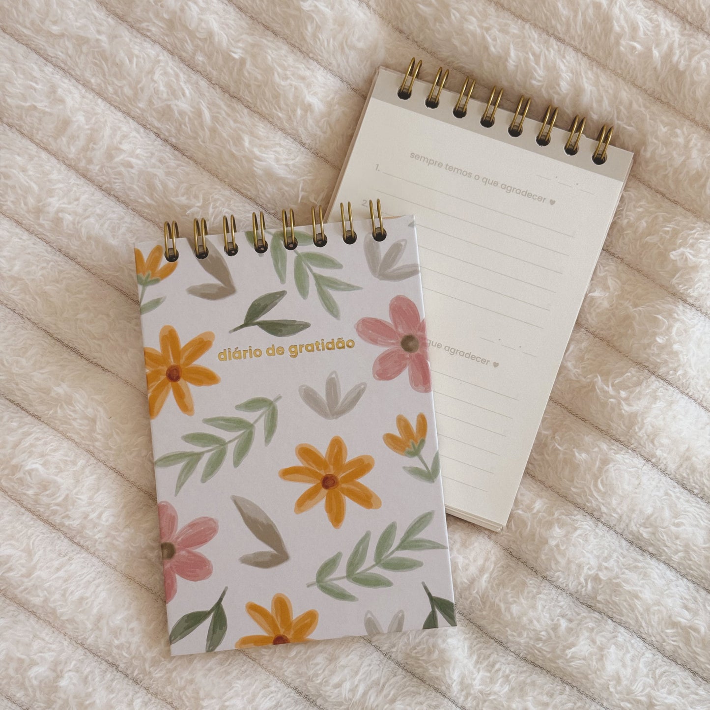 diário de gratidão