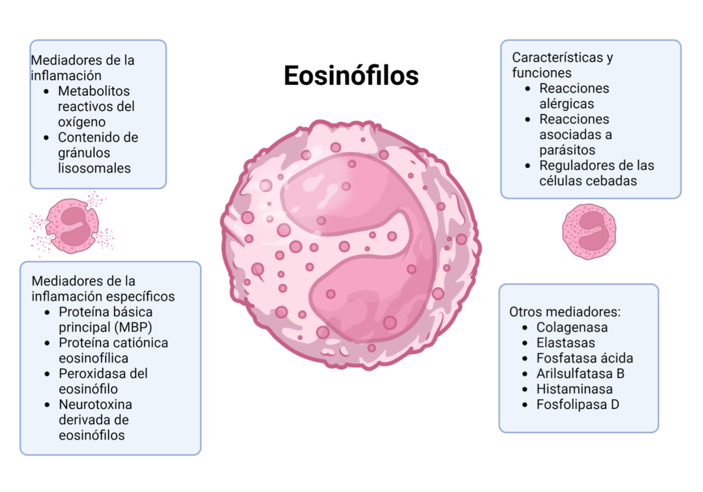Guia Completo sobre Alergias e Eosinofilia