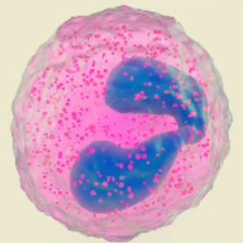 Como os Parasitas Afetam os Níveis de Eosinófilos