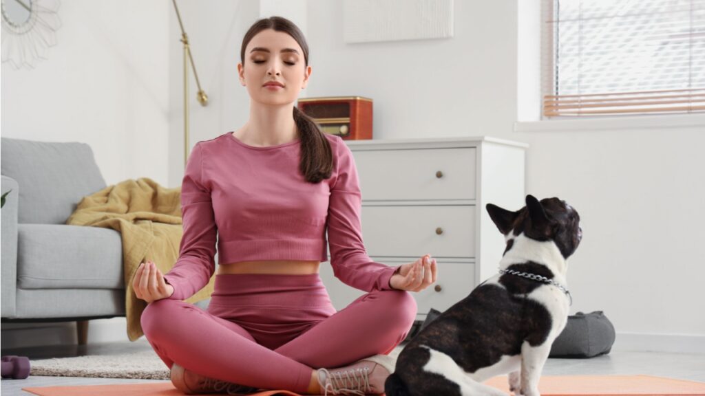 equilíbrio e bem-estar