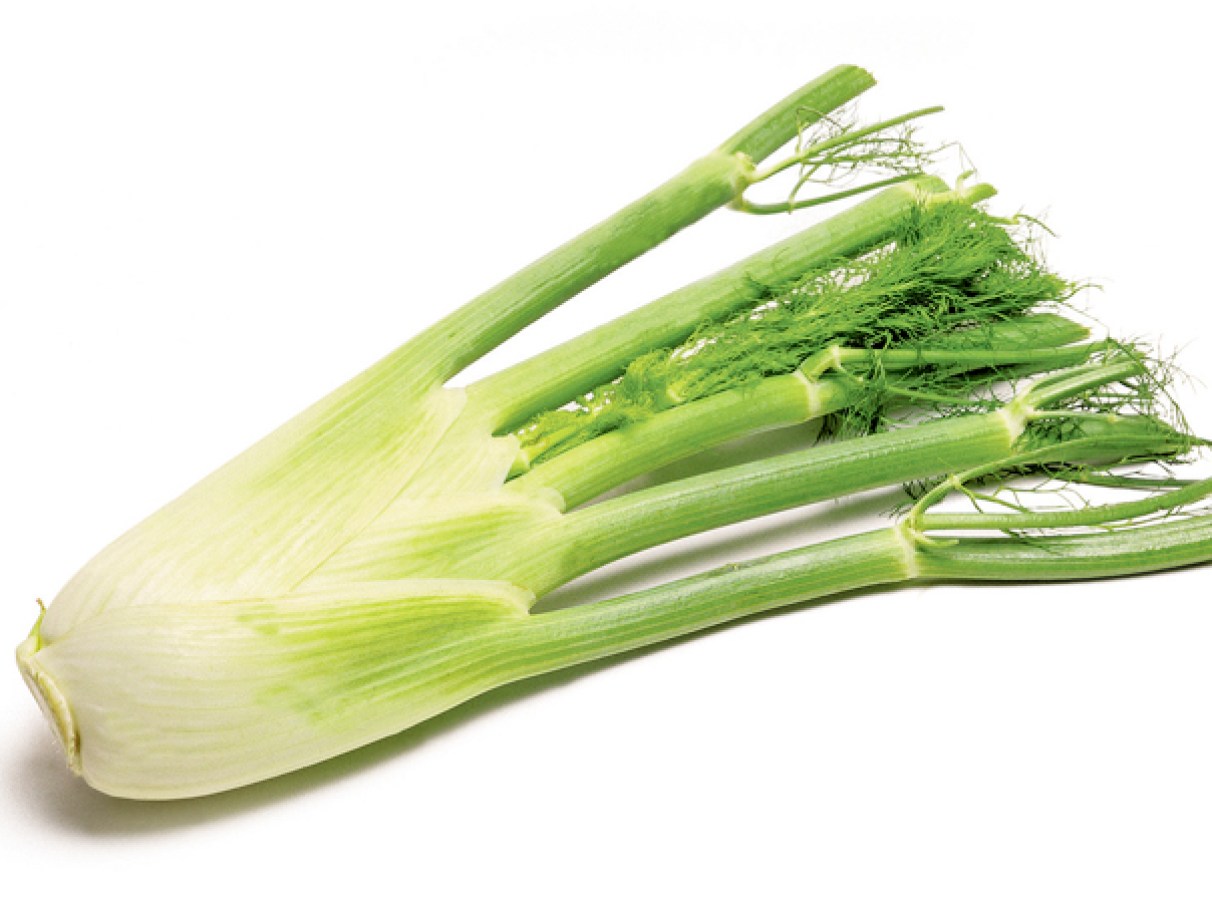 Erva-doce vs Funcho: Entenda as diferenças