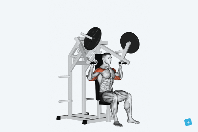 5 Exercícios Essenciais para o Deltoide Anterior