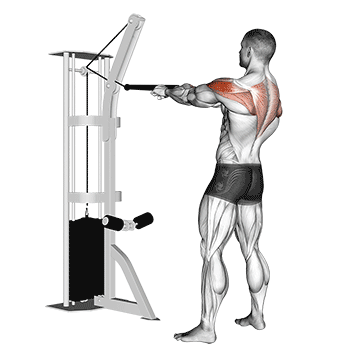 exercício para ombro