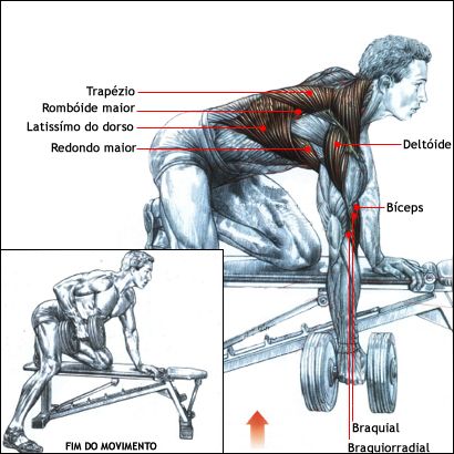 A Importância da Conexão Mente-Músculo no Treino de Costas