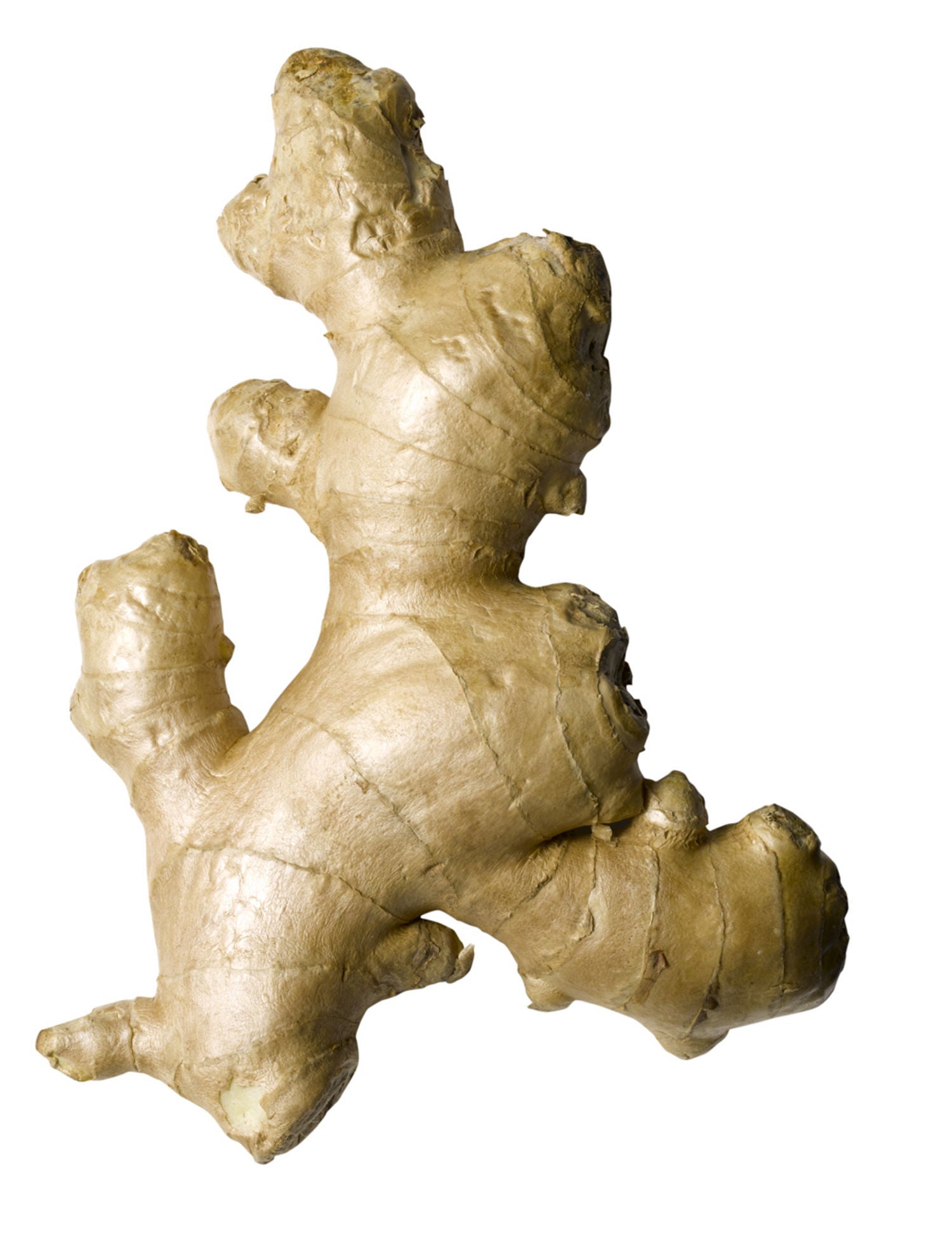 Gengibre na Gravidez: Benefícios e Cuidados