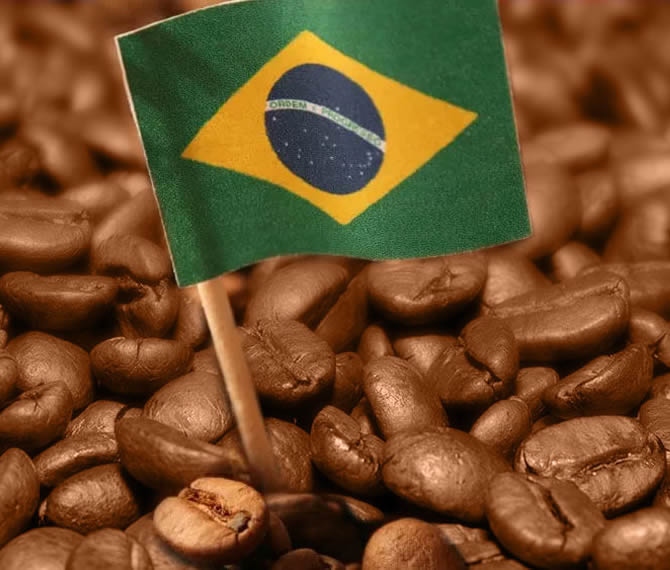 história do café no brasil