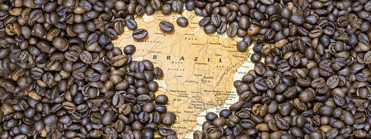 história do café no brasil