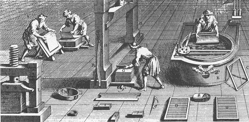 A jornada da celulose: da árvore ao papel